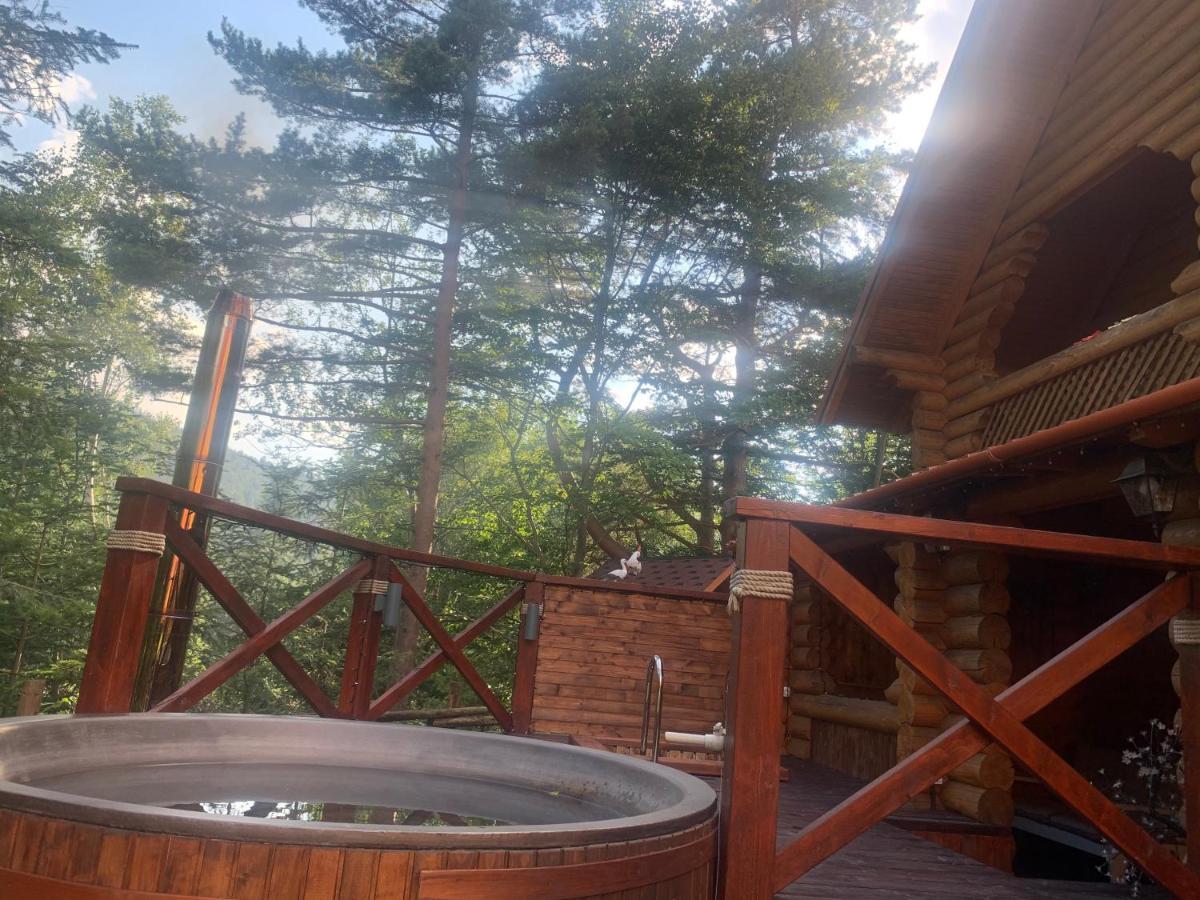 Котедж "Villa Затишна" Mykulychyn Esterno foto