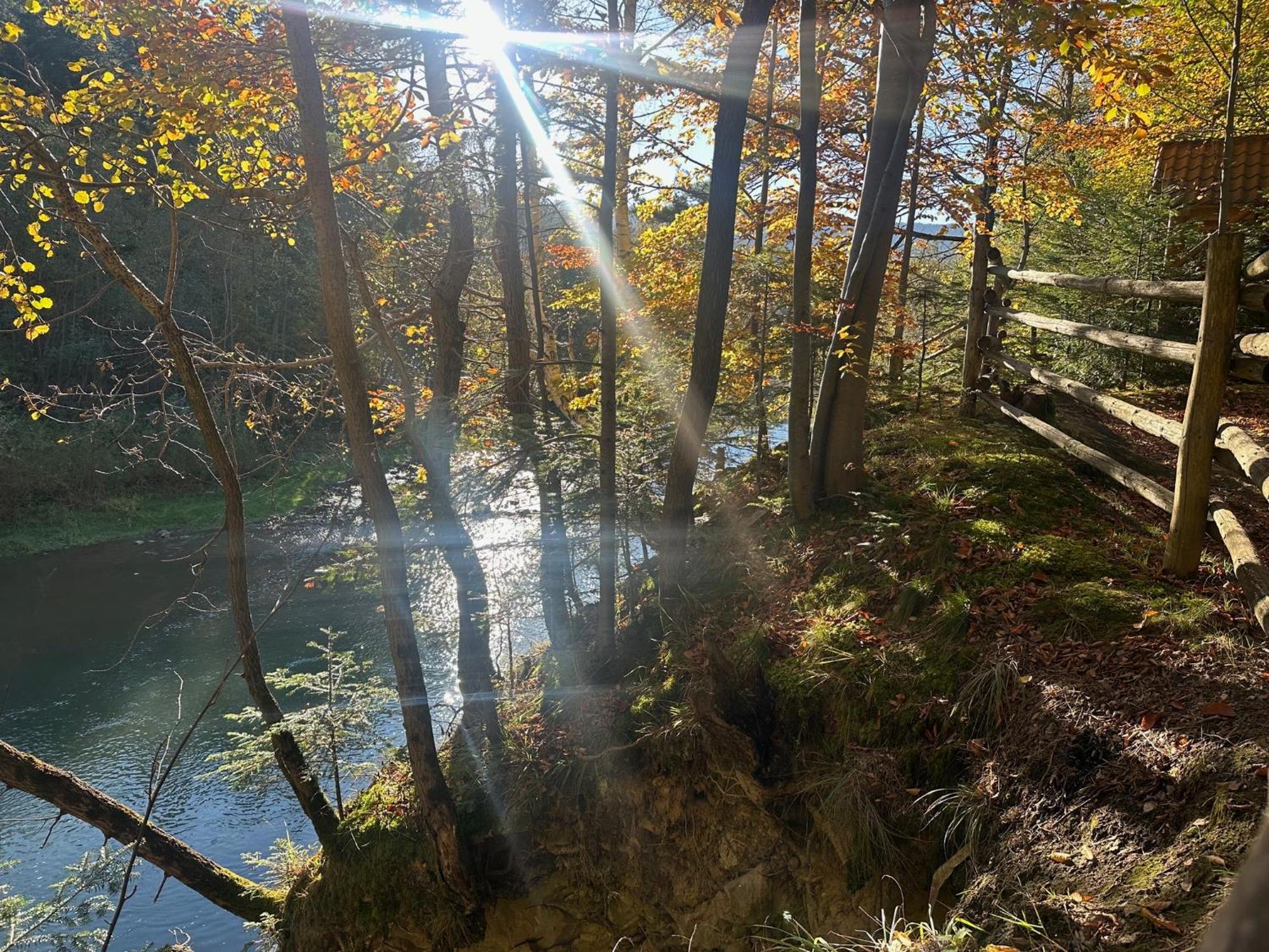 Котедж "Villa Затишна" Mykulychyn Esterno foto