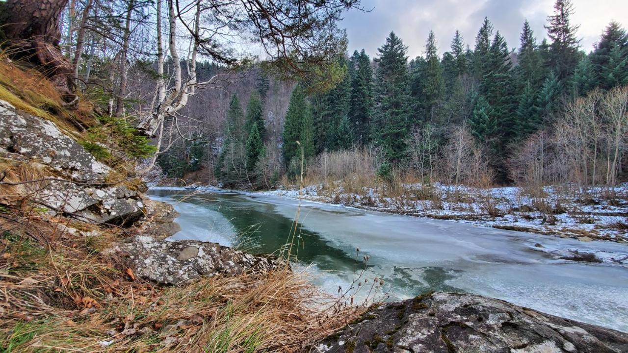 Котедж "Villa Затишна" Mykulychyn Esterno foto