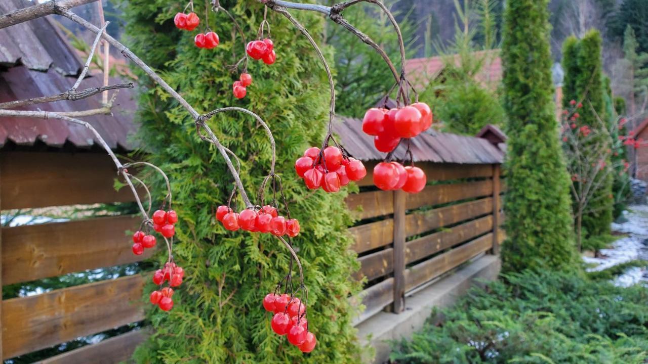 Котедж "Villa Затишна" Mykulychyn Esterno foto